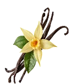 Vanilla Flower